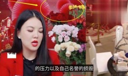 房东爆料直播视频大全最新,最新视频大全深度解析